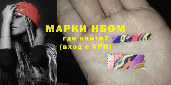 ПСИЛОЦИБИНОВЫЕ ГРИБЫ Вяземский