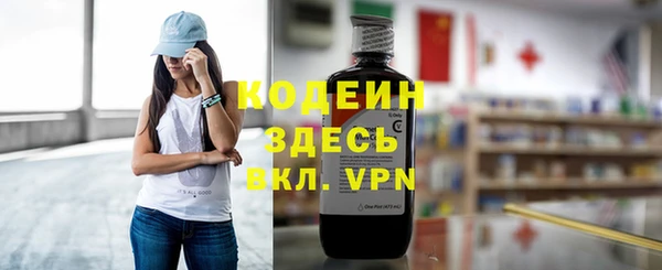 ПСИЛОЦИБИНОВЫЕ ГРИБЫ Вяземский