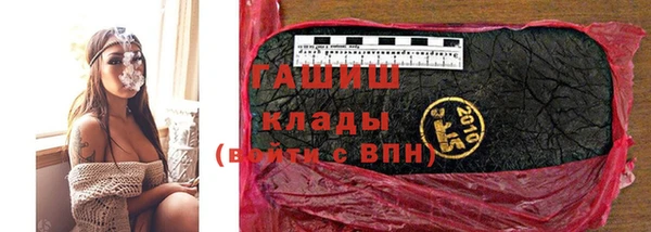 ПСИЛОЦИБИНОВЫЕ ГРИБЫ Вяземский