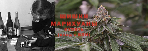 ПСИЛОЦИБИНОВЫЕ ГРИБЫ Вяземский