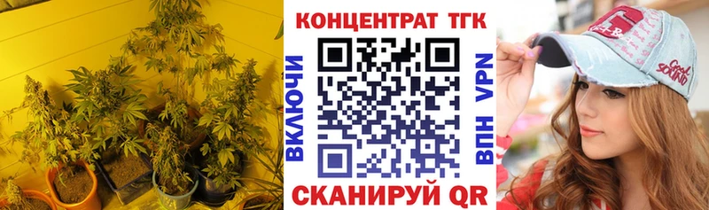 ТГК концентрат kraken tor Осташков